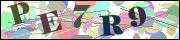 Captcha word