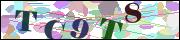 Captcha word