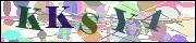Captcha word