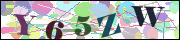 Captcha word