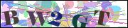 Captcha word