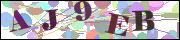 Captcha word