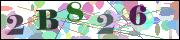 Captcha word