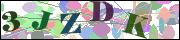 Captcha word