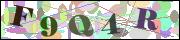 Captcha word