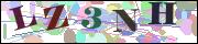 Captcha word