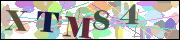 Captcha word
