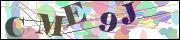 Captcha word
