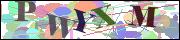 Captcha word