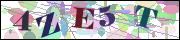 Captcha word
