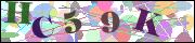 Captcha word