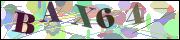 Captcha word