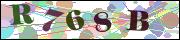 Captcha word