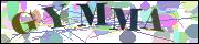 Captcha word