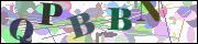 Captcha word