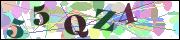 Captcha word