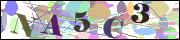 Captcha word
