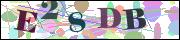 Captcha word