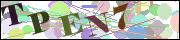 Captcha word