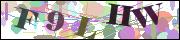 Captcha word