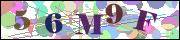 Captcha word