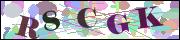 Captcha word