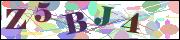 Captcha word