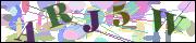 Captcha word
