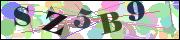 Captcha word