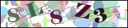 Captcha word