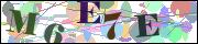 Captcha word