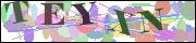 Captcha word
