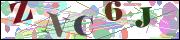 Captcha word