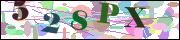 Captcha word