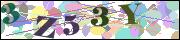 Captcha word