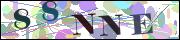 Captcha word