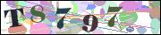 Captcha word
