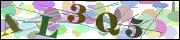 Captcha word