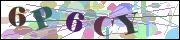 Captcha word