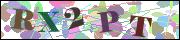 Captcha word