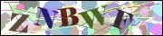 Captcha word