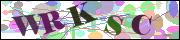 Captcha word