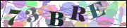 Captcha word