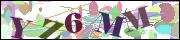 Captcha word