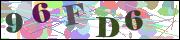 Captcha word
