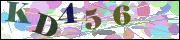 Captcha word