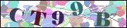 Captcha word