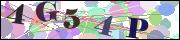 Captcha word