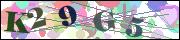 Captcha word