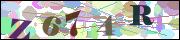 Captcha word